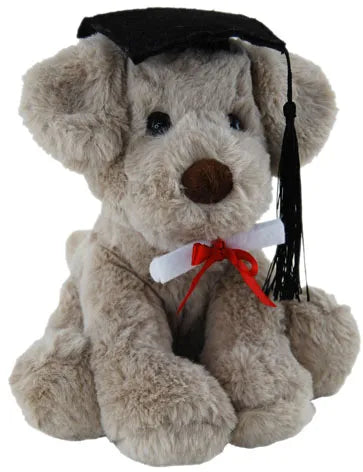 Elka | Graduation Dog - Rocky 20cm